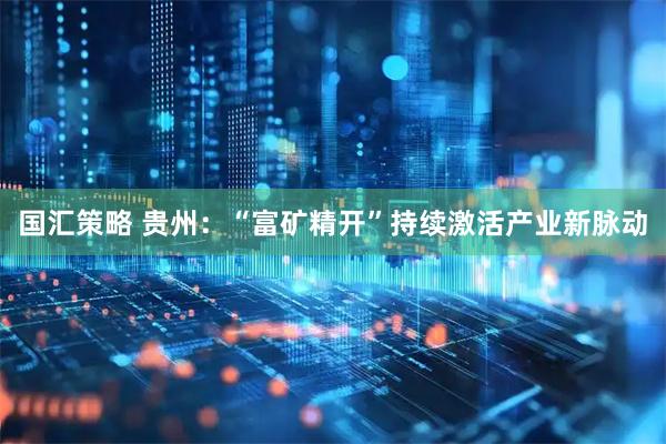 国汇策略 贵州：“富矿精开”持续激活产业新脉动
