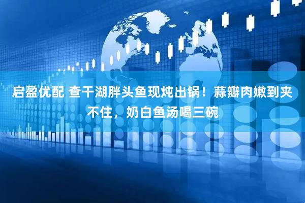 启盈优配 查干湖胖头鱼现炖出锅！蒜瓣肉嫩到夹不住，奶白鱼汤喝三碗