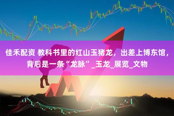 佳禾配资 教科书里的红山玉猪龙，出差上博东馆，背后是一条“龙脉”_玉龙_展览_文物