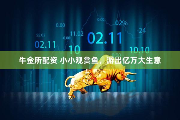 牛金所配资 小小观赏鱼，游出亿万大生意